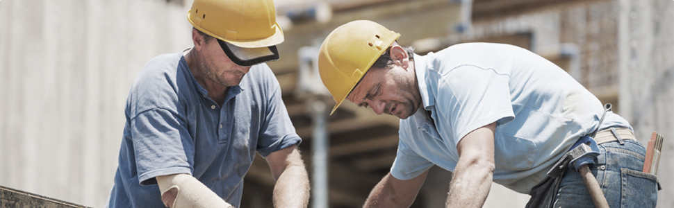 Nuspendisse cursus, massa in laoreet pretium ehicula non vestibulum sed, egestas vitae tellus.