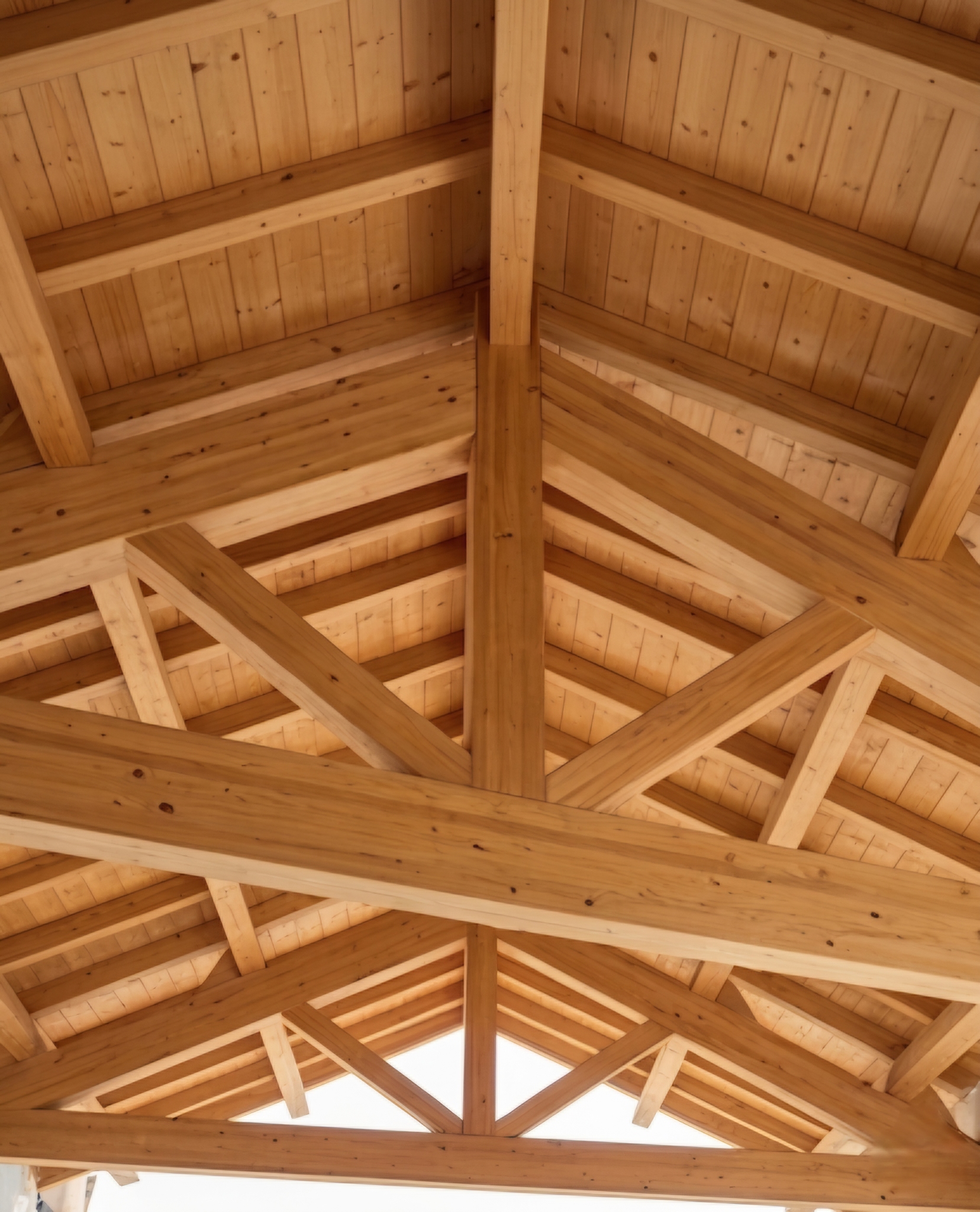 COSTRUZIONI IN LEGNO